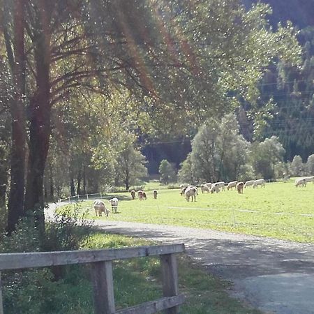 Apartmán Die Buche Hermagor-Pressegger See Exteriér fotografie