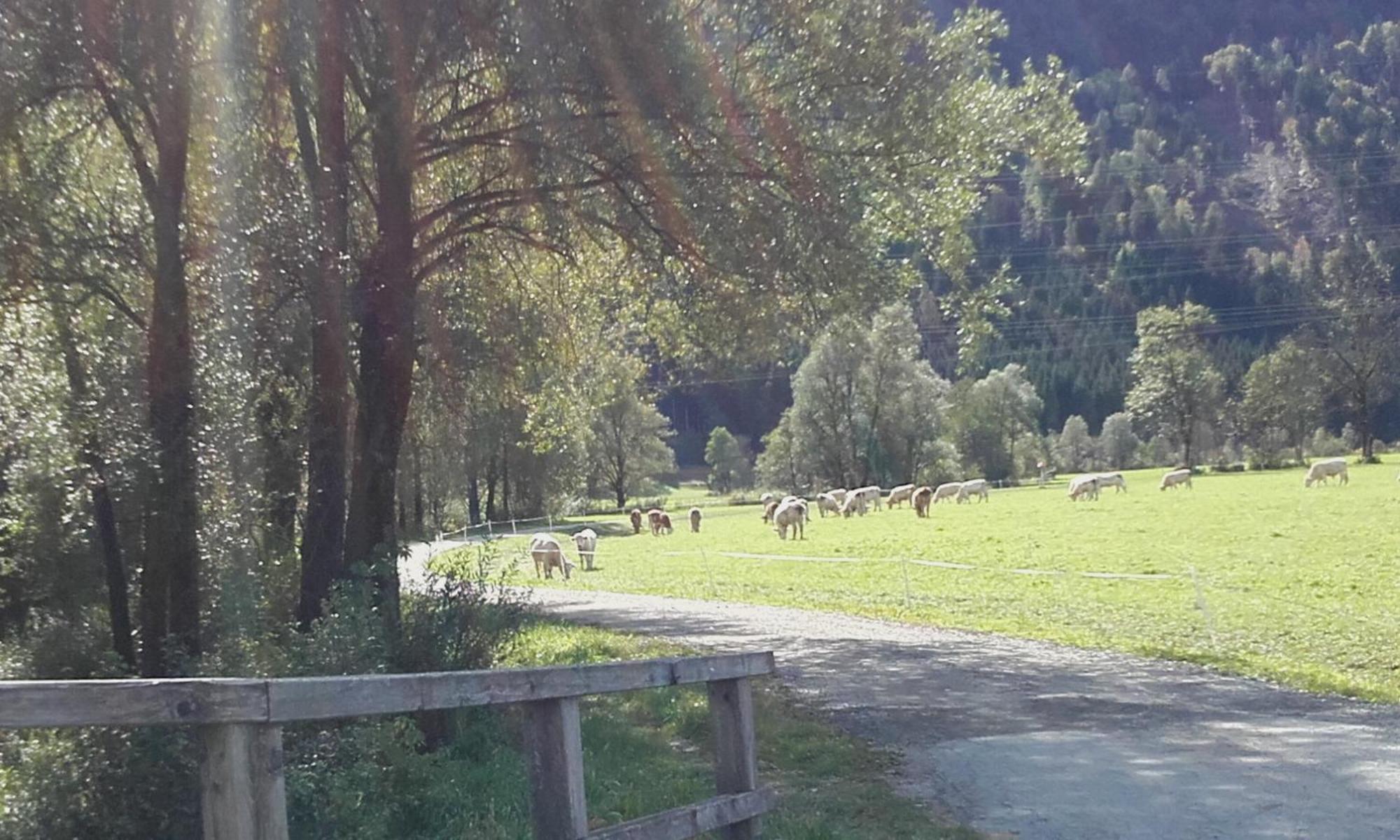 Apartmán Die Buche Hermagor-Pressegger See Exteriér fotografie